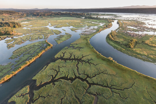 An aerial view of the river delta at Nisqually Wildlife Refuge at low tide at sunset.