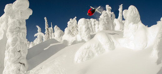 A skier spins inverted over some snowcoated trees in the sunshine.