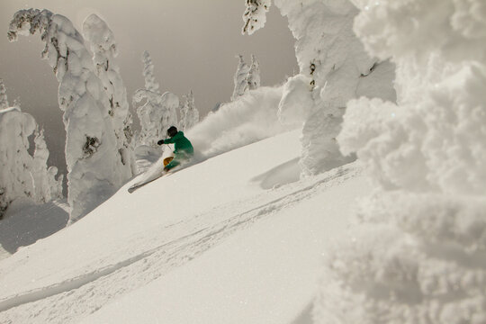 A skier slashes a turn through powder snow amidst snowcoated trees.