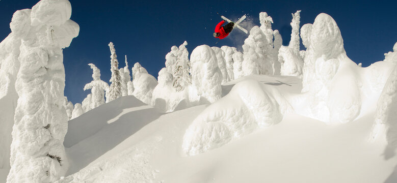 A skier spins inverted over some snowcoated trees in the sunshine.
