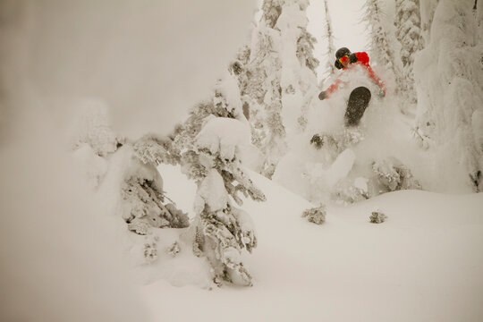 A snowboarder bursts through some powder amidst snowcoated trees on a foggy winter day.
