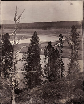Hayden Valley, Yellowstone, National Park, Wyoming