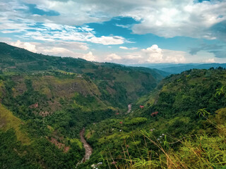 Naklejka premium Cañón del Río Magdalena 