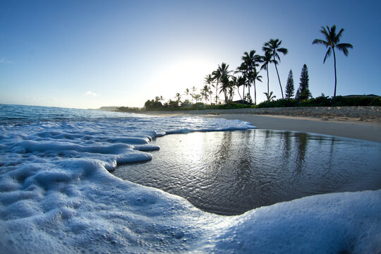 Surf gently washing to shore at Laniakea beach, Oahu's