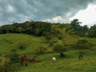 Praderas en las montañas de San Agustín, Huila 