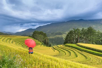 Fototapete Reisfelder Paddy rice terraces with ripe yellow rice. Agricultural fields in countryside area of Mu Cang Chai, Yen Bai, mountain hills valley in Asia, Vietnam. Nature landscape background
