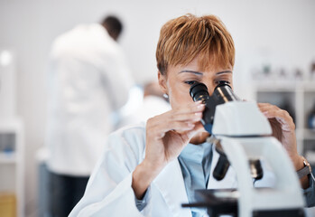 Check, microscope and science with black woman in laboratory for experiment, medical and pharmacy. Healthcare, medicine and results with expert looking for pathology, test and sample analysis