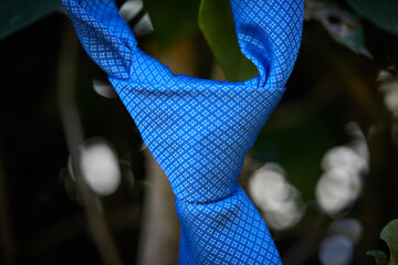 corbata, nudo, tela, azul, macro