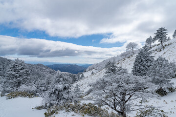 冬の山岳風景　富士見台高原