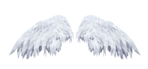 wings on transparent background png	