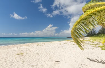 Rolgordijnen Barbados © Fyle