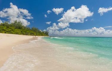 Fotobehang Barbados © Fyle
