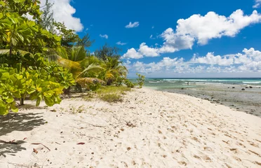 Zelfklevend Fotobehang Tropical beach in Barbados © Fyle