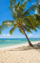 Zelfklevend Fotobehang Barbados © Fyle