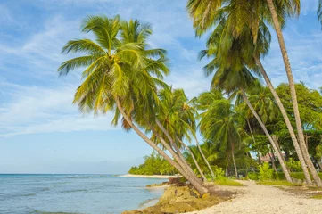 Fotobehang Tropical beach in Barbados © Fyle