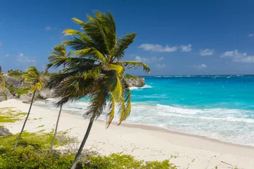 Fotobehang Harrismith Beach in Barbados © Fyle
