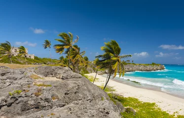 Foto op Plexiglas Harrismith Beach in Barbados © Fyle