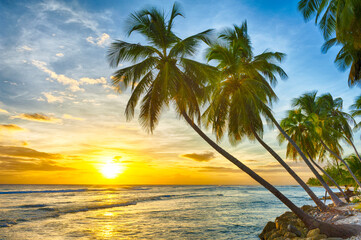 Barbados beach at sunset