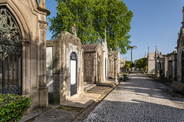 Fototapeta na wymiar Walkway and trees in Agramonte Cemetery, Porto