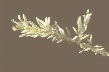 Dried Flowers Nature A Generative AI Study..