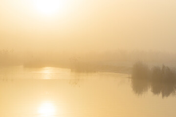 Fototapeta premium Reed along the edge of a frozen foggy lake in sunlight at sunrise in winter, Almere, Flevoland, The Netherlands, March 1, 2023