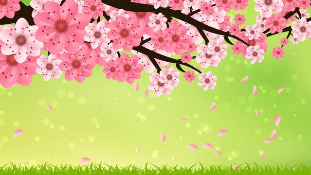 spring background using grass land and pink flower branch