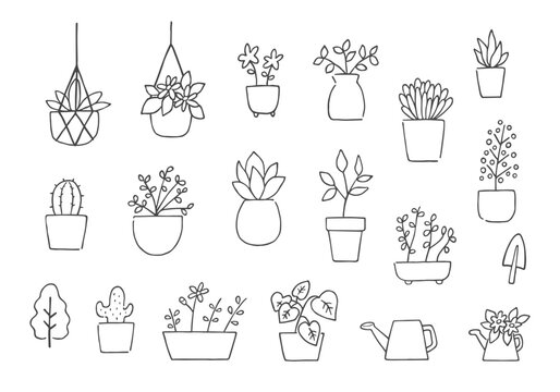 いろんな観葉植物の手描きイラストセット（モノクロ）