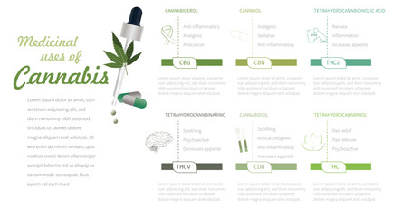 Medicinal uses of cannabis according to the type of cannabinoid, such as anti-inflammatory, sedative, pain reliever, pain relief, psychoactive etc, with their icons.
