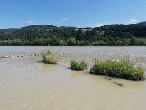 drave river