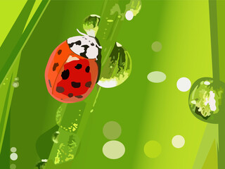 vector illustration depicting a ladybug on the grass and dew drops for prints on postcards, banners, covers and for interior design and creating other illustrations in eco style