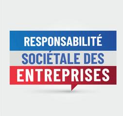 RSE - responsabilité sociétale des entreprises en france