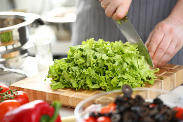 Hands of cook are preparing vegetable salad closeup
