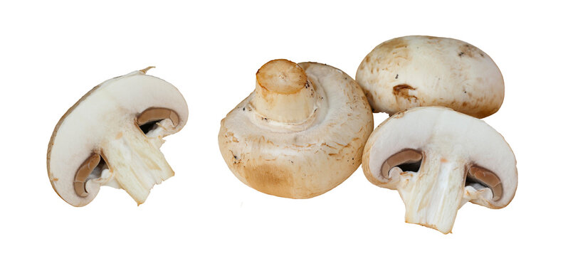Set of white champignon mushrooms on transparent background. Sliced mushrooms. png