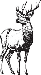 Rain Deer Head Black and White logo illustration for T-shirt design