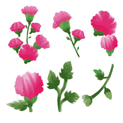 Vector Botanical set of wild flowers set of separate parts and bring together to beautiful bouquet of flowers in water colours.