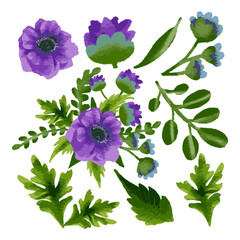Vector Botanical set of wild flowers set of separate parts and bring together to beautiful bouquet of flowers in water colours