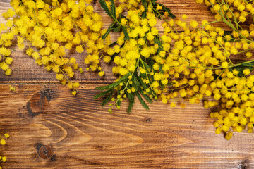 mimosa on wooden table