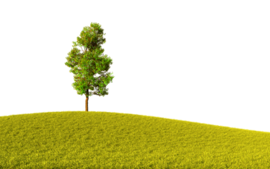 Isolated tree on grassy hill with transparent. 3D Render