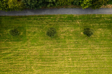 Small footpath in a park, aerial top down view. 