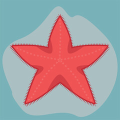 starfish illustration