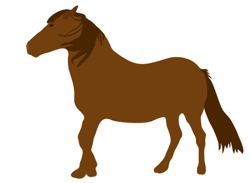 Brown horse with mane isolated on white background.  Sorrel racing horse standing icon, vector design element eps 10
