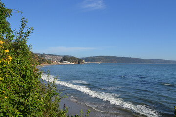 Fototapeta na wymiar a beautiful beach on the coast of Chile