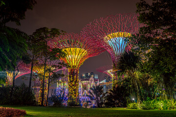 Gardens by the Bay, giant illuminated artificial trees in Singapore