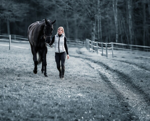 Relaxed and dreamy young woman leads her horse from the pasture, processing in split toning..