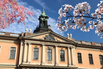 Stockholm Swedish Academy. Spring time cherry blossoms. - obrazy, fototapety, plakaty