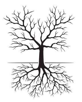 vector tree silhouette vector