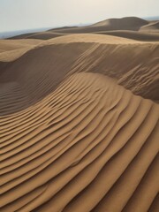 Sand dune waves