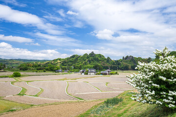 田染荘の風景