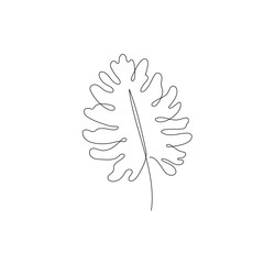 Line monstera leaf art. One continuous line art decorative monstera leaf draw. Editable stroke single tropical palm leaf element. Isolated vector illustration