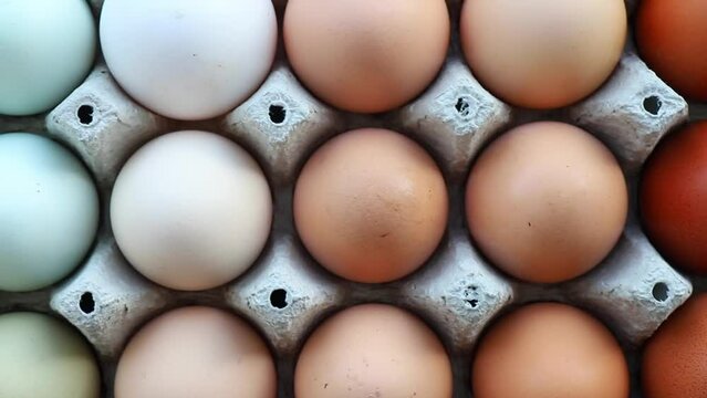 Lot of different color chicken eggs arranged by color on paper egg box. All sorts of colors: blue, green, white, beige, brown. From natural organic farm. Minimal above view.